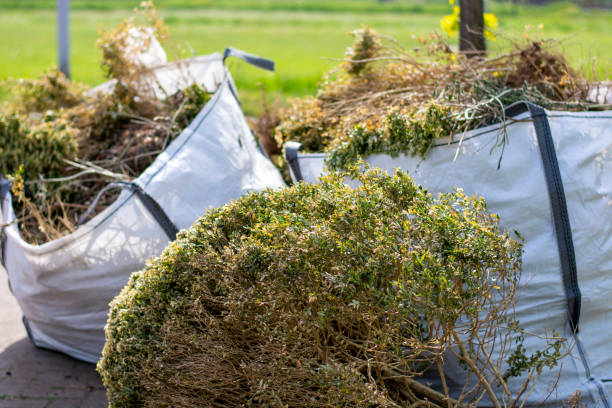 Best Full-Service Junk Removal  in Center Point, IA